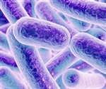 Researchers discover a way for detecting resistance-encoding genes in bacteria