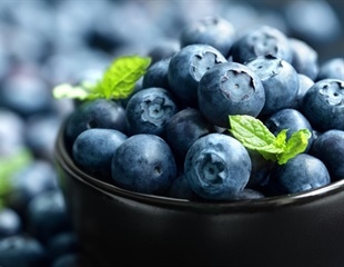 Phenolic extract from blueberries enhance vascularization and cell migration
