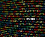 CRISPR-CAS9 technique that allows scientists to alter the genetic code of living creatures