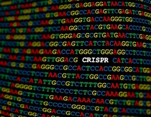 CRISPR screening identifies metabolic enzyme as new target for anti-inflammatory therapeutics