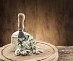 Scientists ‘Break the Mould’ by Creating New Colours of ‘Blue Cheese’
