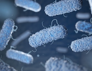 Increase in Certain Bacterial Species Indicates Intestinal Candida Fungi Overgrowth