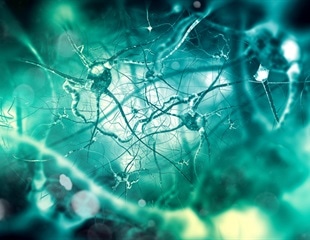 Understudied Brain Cell Holds Key to Glioblastoma's Immunotherapy Resistance