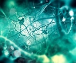 Electrical trigger sites in the brain change with experience, shows study