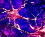 Novel tool provides an unprecedented view of brain cell activity