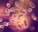 Study provides insights on how the human gut microbiota resist cholera bacterium