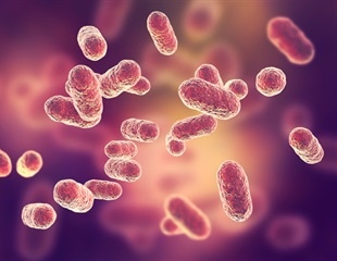 Blastocystis can promote or disrupt gut health, study finds