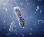 Microbiologists identify bacteria which feed on manganese