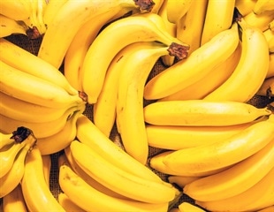 Study seeks climate-smart strategies for root, tuber and banana crops in sub-Saharan Africa