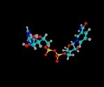 What is Nicotinamide Adenine Dinucleotide (NAD)?