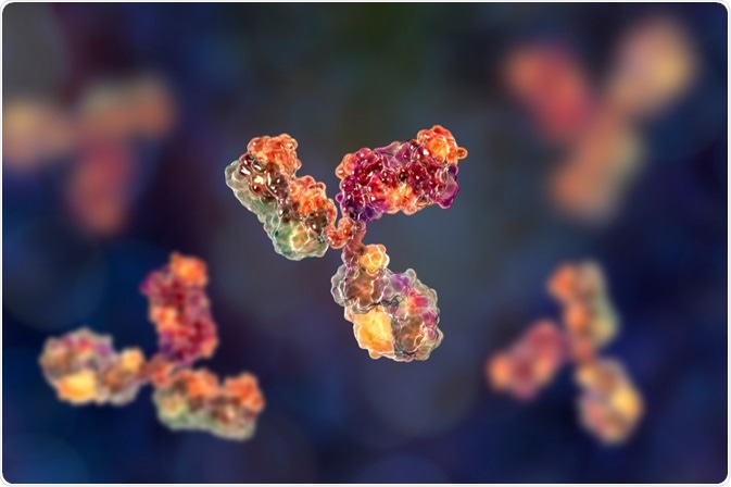 Purifying Antibodies Using Ion Exchange Chromatography