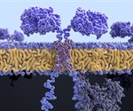 New gel enhances immunotherapy's effectiveness in glioblastoma