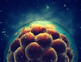 Engineering Stem Cells to Evade Immune Rejection
