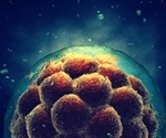 Cellular enlargement drives a decline in function of stem cells, study suggests