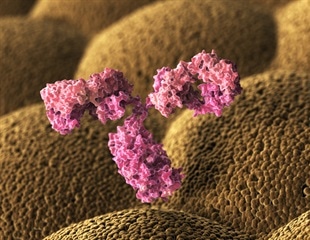 Researchers develop a new system for rapid, sensitive measurement of antibodies against SARS-CoV-2