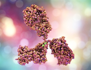 Study findings may pave way for personalized cancer treatment