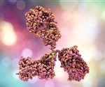 Study shows lasting immunity offered by SARS-CoV-2 antibodies