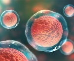 Skin regeneration after an injury may be linked with motility of skin stem cells