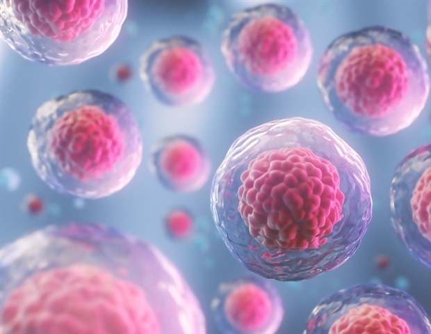 Investigating Enhancer Function in Pluripotent Stem Cells