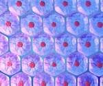 Novel Technique Overcomes Challenges of Bioprinting