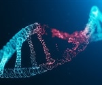Researchers Identify Genes Linked to Genomic Instability and DNA Damage
