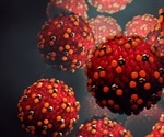 Infection with measles virus activates two different immune responses