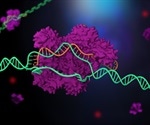 CRISPR-Cas9 Enzyme's Magnesium Role Unraveled in DNA Cutting