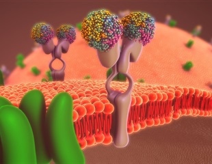 Synthetic biosensor could lead to better understanding of cell biology