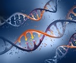 Genetic welding: Evolutionary meddling with genes