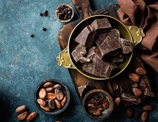 New insights into the lubrication mechanism of chocolate