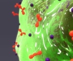Mast cell precursor cells get activated when exposed to allergic stimulation, shows study