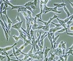Cell Guidance Systems and Manchester BIOGEL collaborate to launch PODS-PeptiGels for 3D cell culture