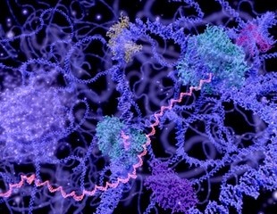 Study may pave the way for designing next generation of artificial chromosomes for data storage