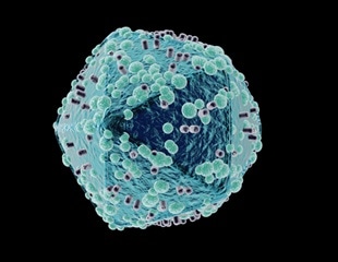 Unraveling Lenacapavir's Impact on the HIV Life Cycle