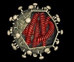 Scientists successfully edit SIV virus from genomes of non-human primates
