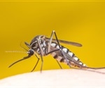 Scientists use genomics to track the outbreak of Yellow fever virus in São Paulo