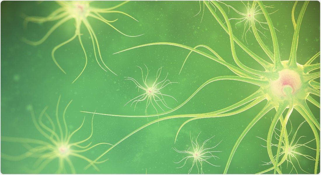 Researchers identify specific neurons that may contribute to epileptic seizures
