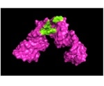 New approach to determine the structure of large RNA molecules