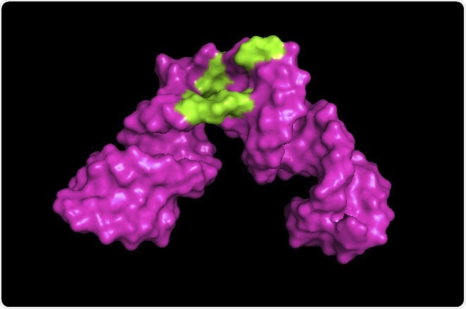 Researchers develop new approach to determine the structure of large RNA molecules