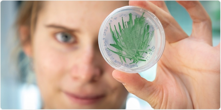 Researchers demonstrate new method to increase catalytic activity of cyanobacteria