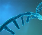 What is non-coding RNA (ncRNA)?