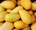 Mango consumption can reduce facial wrinkles in older women