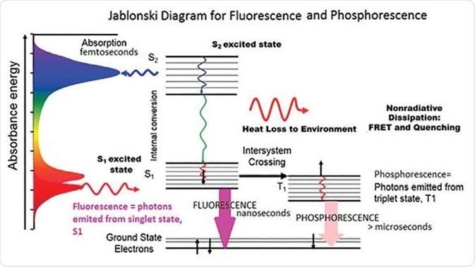 Fluorescence Spectroscopy