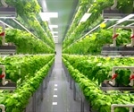 Benefits of Vertical Agriculture and Hydroponics