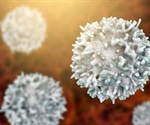 What are the differences between B and T Cells?