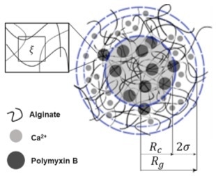 Core-shell model used for fitting of the microgel SAXS data. ξ: mesh size of the polymer network, Rc: radius of the dense core, σ: the thickness of the shell, Rg: radius of gyration.