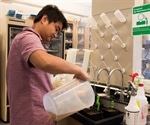 New method boosts the extraction of vegetable oil from plants