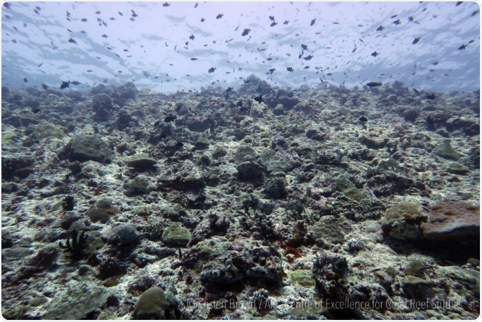 Coastal protection provided by coral reefs will erode by end of century