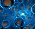 Researchers discover protein crucial for growing life-saving blood stem cells