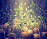Disturbances in the gut microbiome may explain major depressive disorder